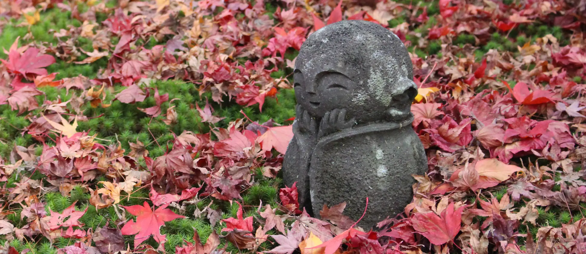 京都・圓光寺の敷き紅葉とお地蔵さん